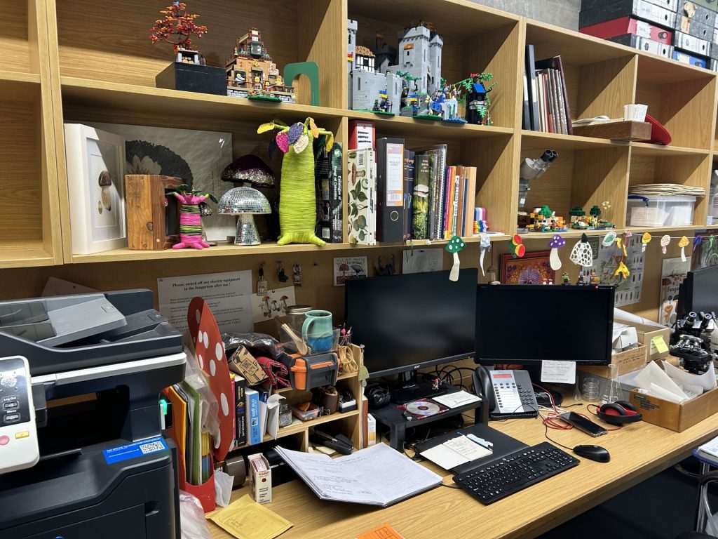 An image of the workspace inside Kew Garden's fungarium