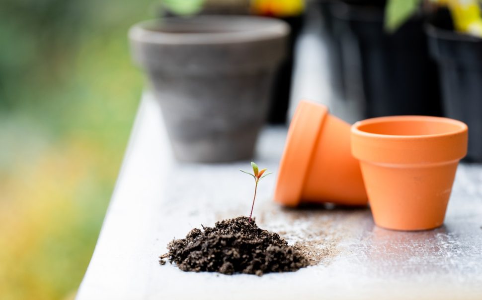 A small pile of soil next to flower pots