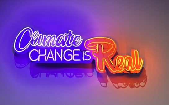 Climate Change is Real by Andrea Bowers
