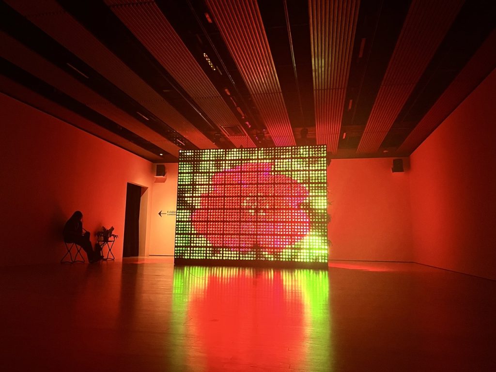 Pantalla verde de Hito Steyerl