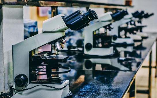 stock image of five microscopes on a lab bench