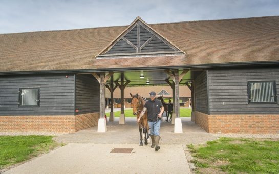 A horse being led through Chasemore Farm stables