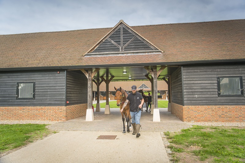 A horse being led through Chasemore Farm stables