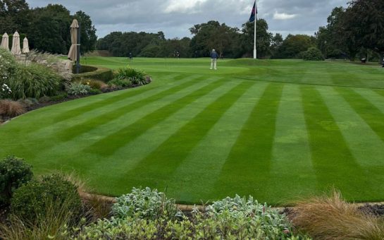 Well trimmed golf course, surrounded by shrubs. A lone golfer is pictured practicing