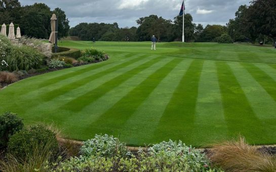 Well trimmed golf course, surrounded by shrubs. A lone golfer is pictured practicing