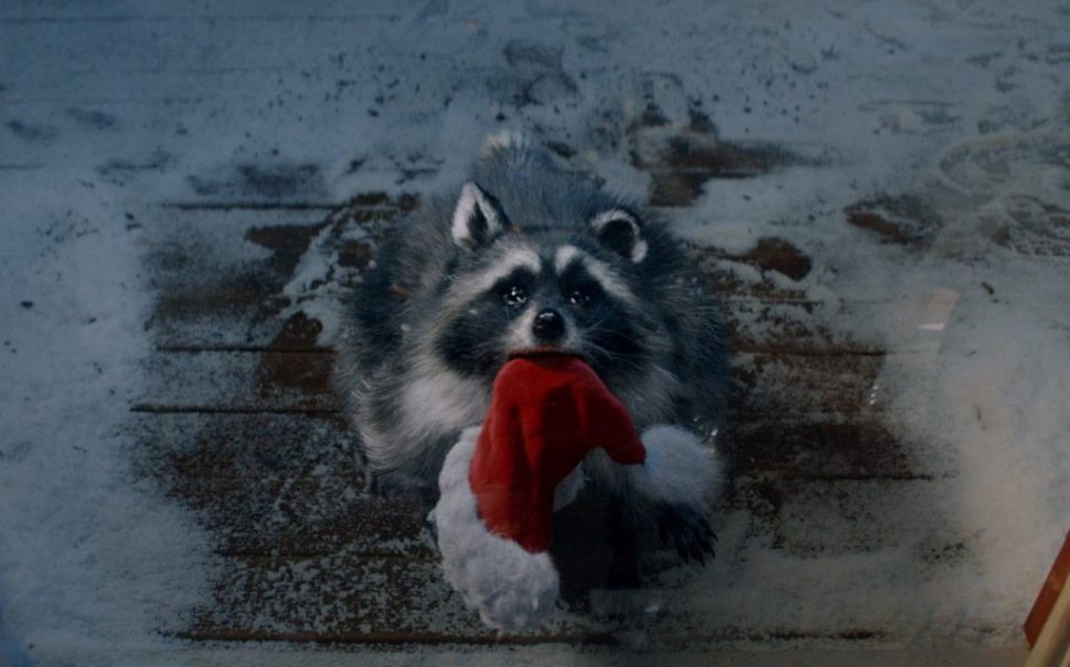 lidl's christmas 2023 advert raccoon stares up with puppy dog eyes and a santa hat in his mouth on a snowy doorstep