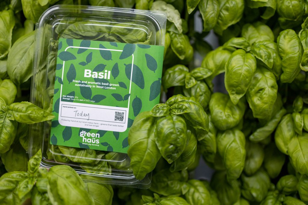 A package of basil surrounded by loose basil