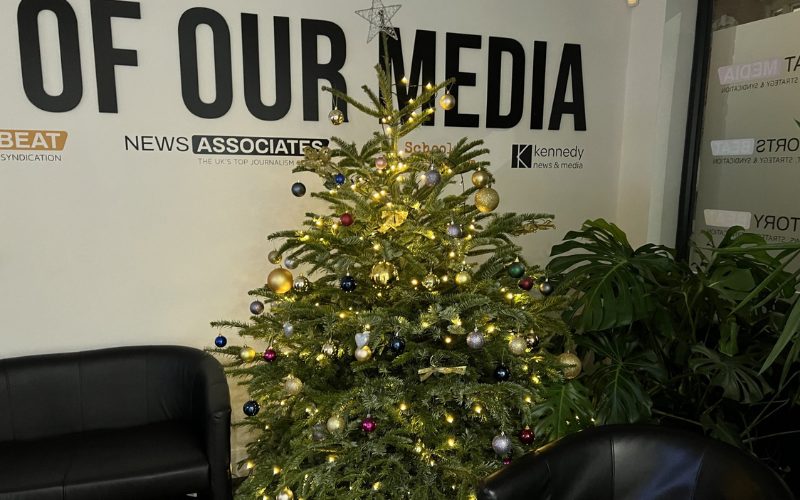 A beautiful Pines and Needles Christmas tree in our lobby.