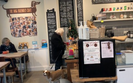 Dog Cafe in the borough of Richmond