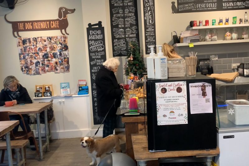 Dog Cafe in the borough of Richmond