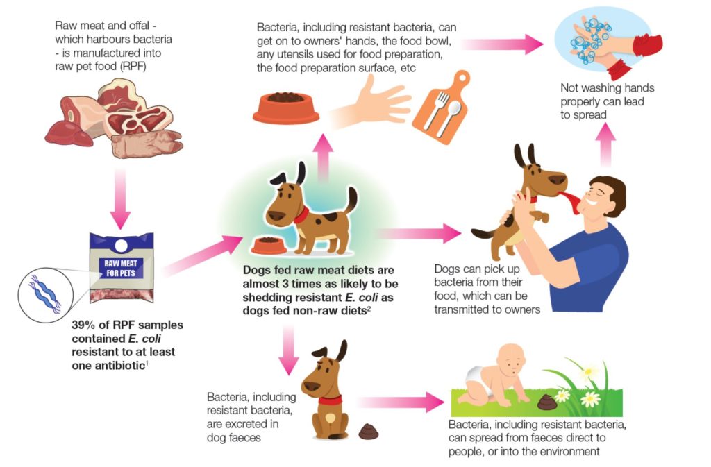 A diagram from the One Health Report showing how pet owners can come into contact with superbugs.