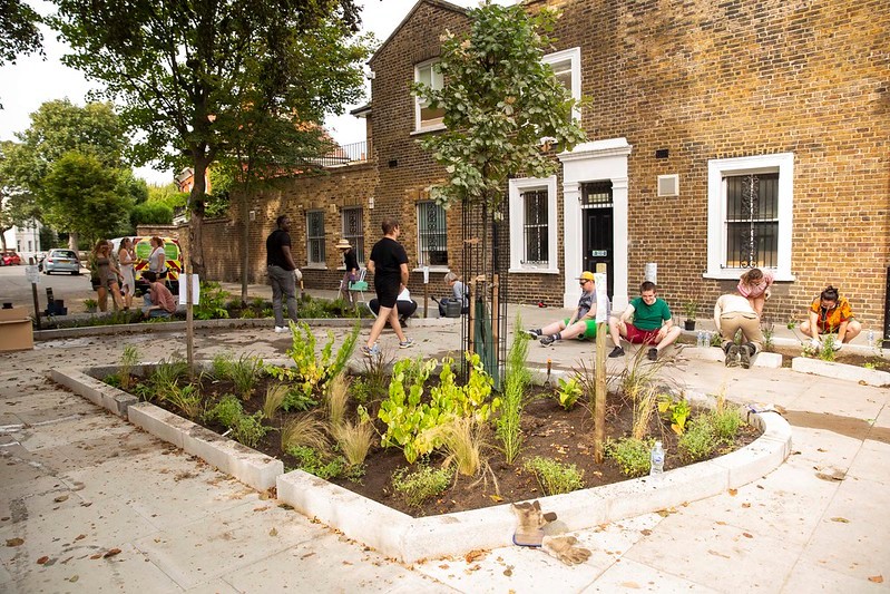 A picture of people planting plants on Starch Green in Shepherds Bush as part of a community planting day.