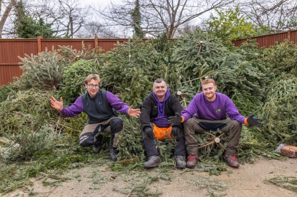 VOLUN-TREE WORK: Thanks to the work of students, local residents and charity workers, the hospice raised over £16,000 from this service. 