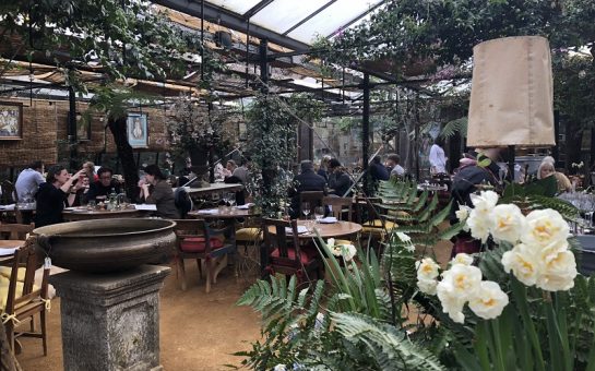 The inside of the Petersham Nurseries