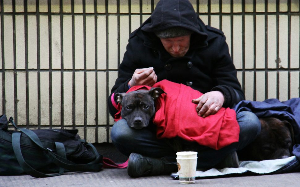 A homeless man looking after his dog with a pot for money