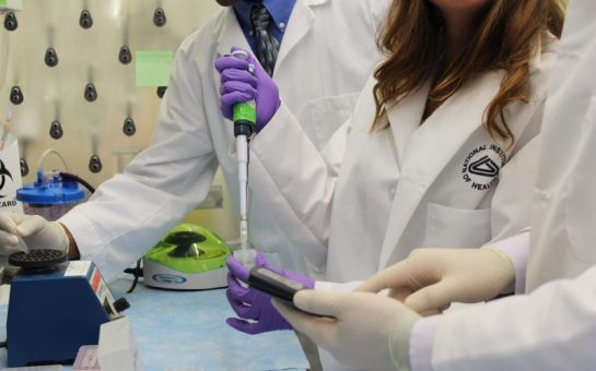 Medical researchers working in lab