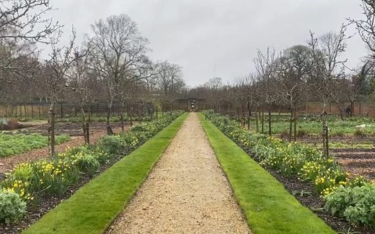A gravel path strikes through the middle of the image, flanked by maintained hedgerow and plants.