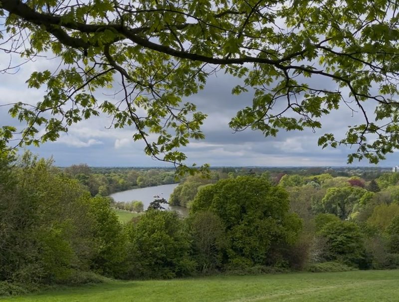 The view of Richmond Hill which Turner depicted in his painting, 'England: Richmond Hill on the Prince Regent's birthday'. (Picture credit: Charlotte Wilson)