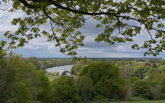 The view of Richmond Hill which Turner depicted in his painting, 'England: Richmond Hill on the Prince Regent's birthday'. (Picture credit: Charlotte Wilson)