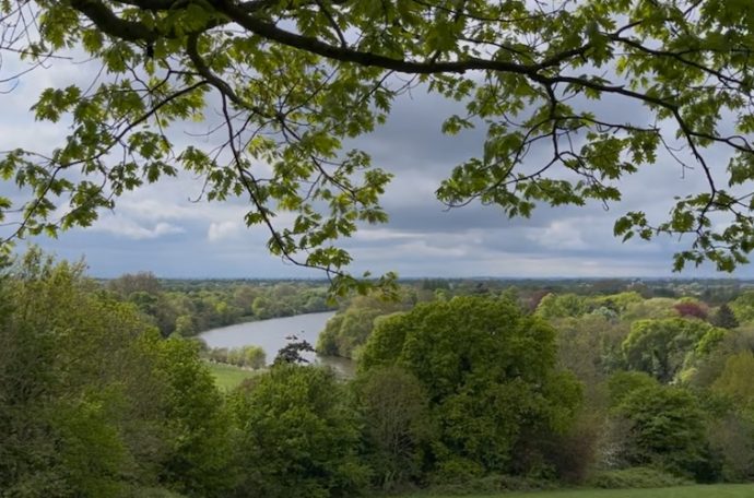 The view of Richmond Hill which Turner depicted in his painting, 'England: Richmond Hill on the Prince Regent's birthday'. (Picture credit: Charlotte Wilson)