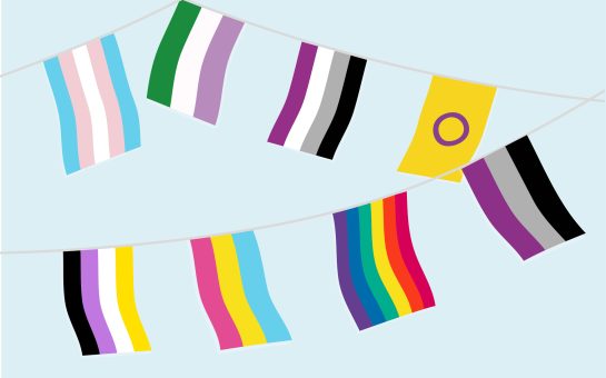LGBTQIA. Flags