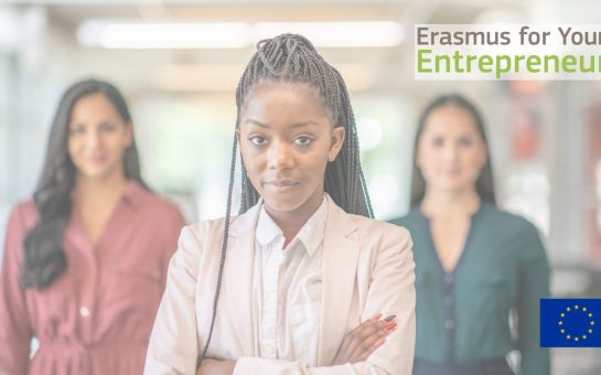 Erasmus for young entrepreneurs program