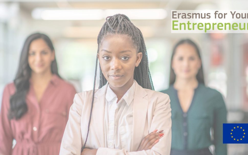 Erasmus for young entrepreneurs program