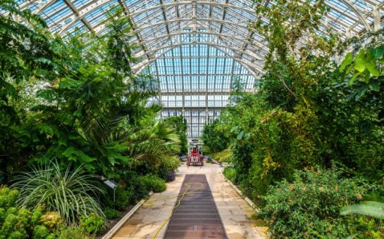 A photo inside Kew Gardens.