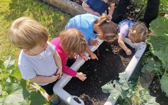 A group of young children gardening.