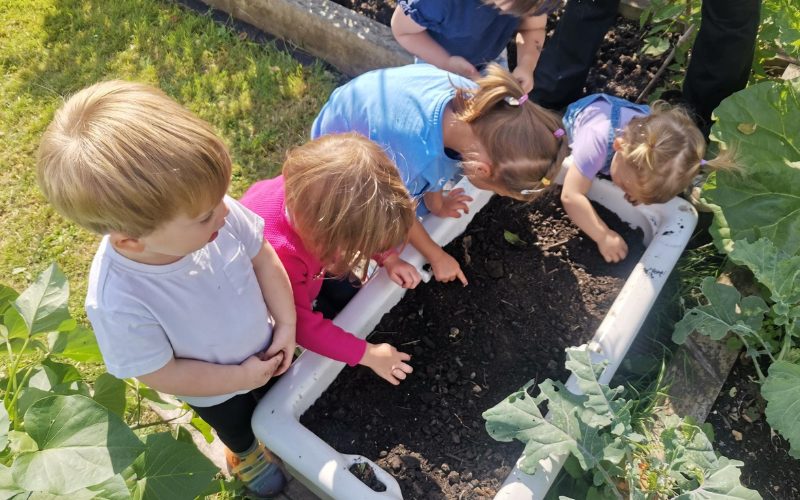 A group of young children gardening.