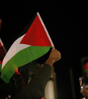 People holding Palestine flags (Credit: Free to use from Unsplash)