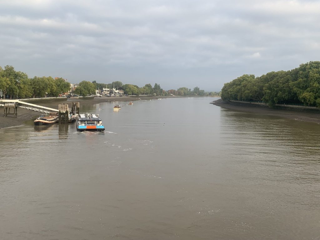 View of the Thames River from Putney Bridge. Trees on the right and left banks and an uber boat on the left hand side of the river