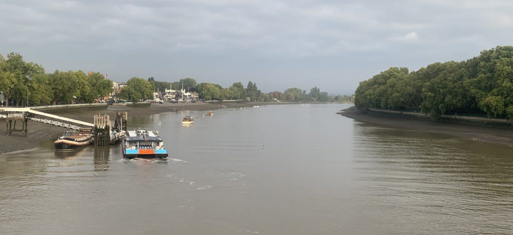 View of the Thames River from Putney Bridge. Trees on the right and left banks and an uber boat on the left hand side of the river