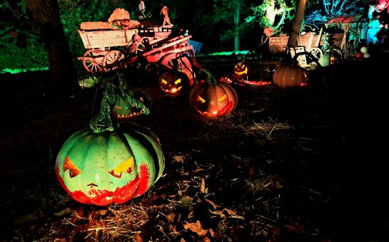 Pumpkins on the trail at Halloween at Kew