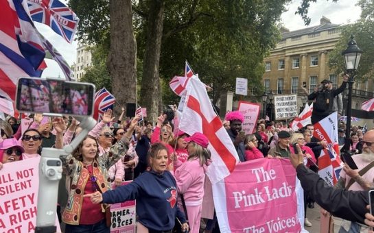 Protestors pictured at 'Pink Ladies' protest holding a pink sign that reads 'The Pink Ladies / The Voices of our Children'.