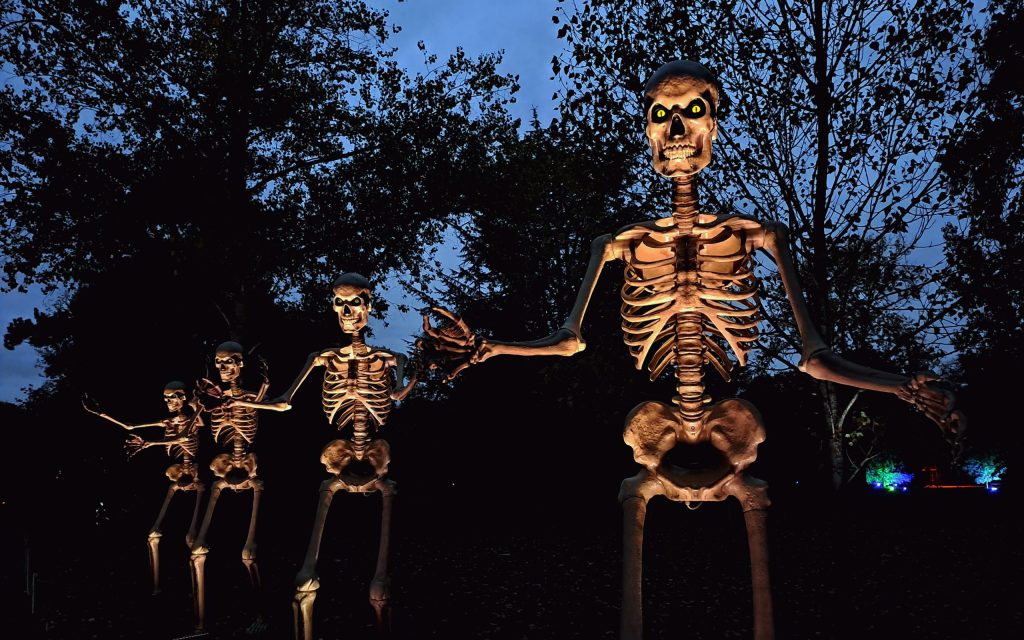 Skeletons line the trail at Halloween at Kew (Credit: Dicken Richards)