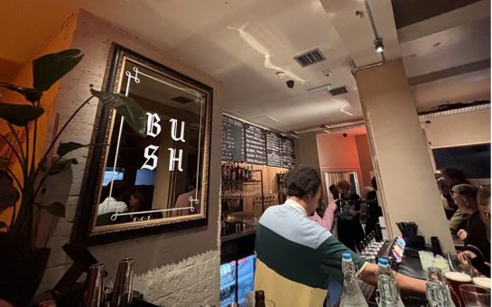 The Bush Tavern in Shepherds Bush on opening night. A picture of the bar serving Bird House Brewery drinks and cocktails.