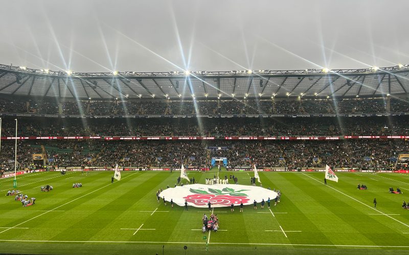 England v All Blacks at the Allianz Stadium