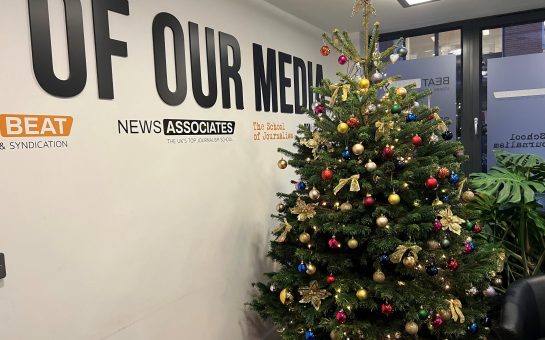 A decorated Pines and Needles Christmas tree in our office.