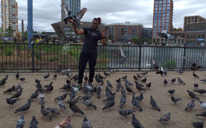 A man surrounded by pigeons