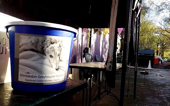 A collection bucket with an image of a greyhound on it and box of dog biscuits sat on a counter at the charity Wimbledon Greyhound Welfare.