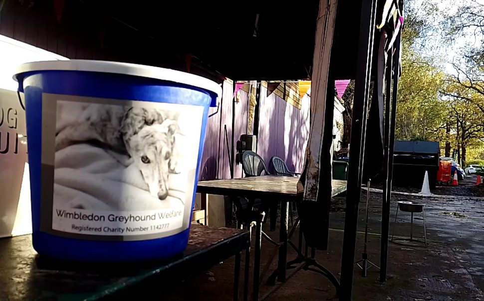 A collection bucket with an image of a greyhound on it and box of dog biscuits sat on a counter at the charity Wimbledon Greyhound Welfare.
