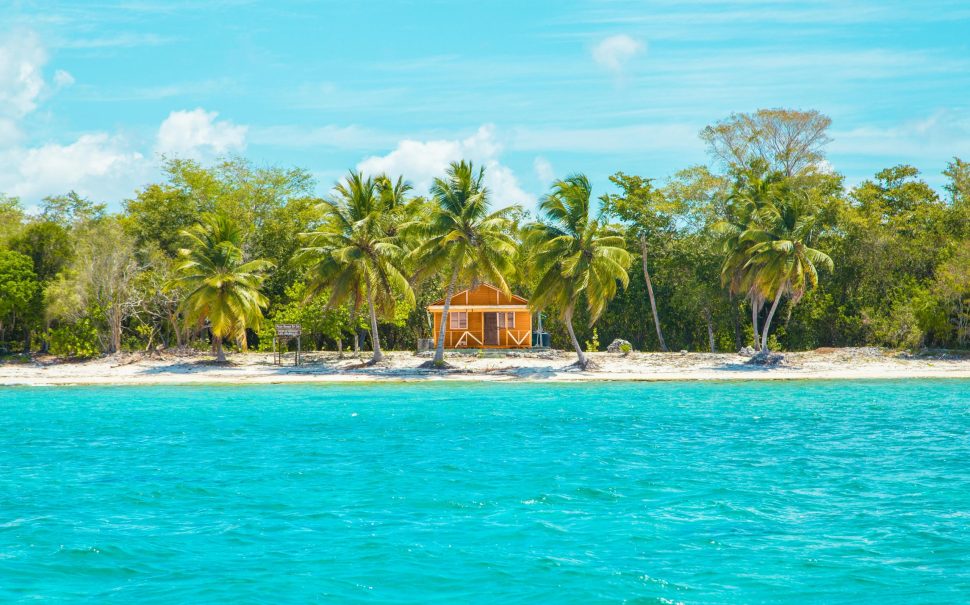 Wooden cabin on beach near coconut trees