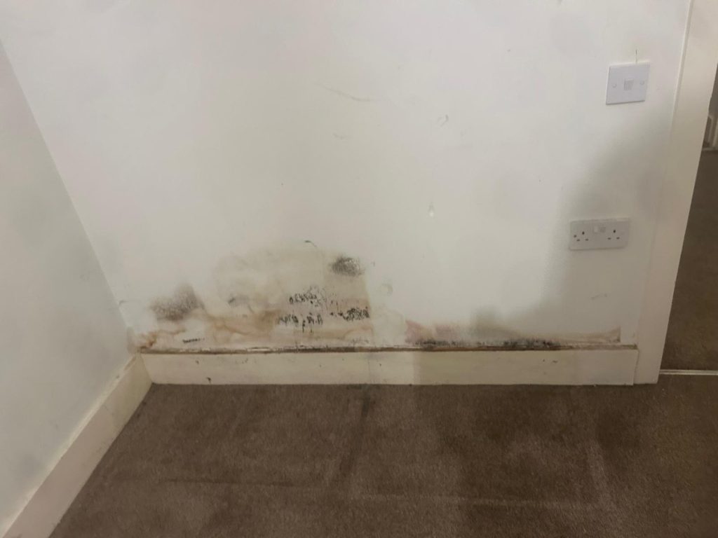 Mould in a residential property, Credit: David Jackson, Jackson Property Services London Mould in a residential property
Credit: David Jackson, Jackson Property Services London
