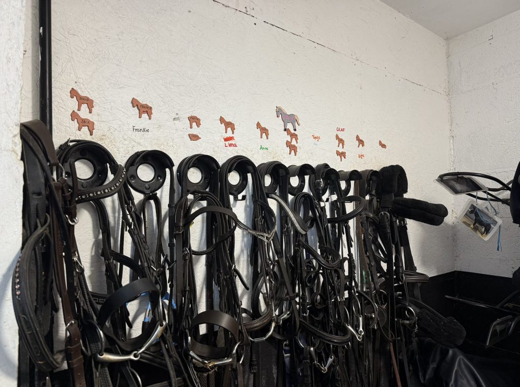 Horse reins hanging below names of horses.