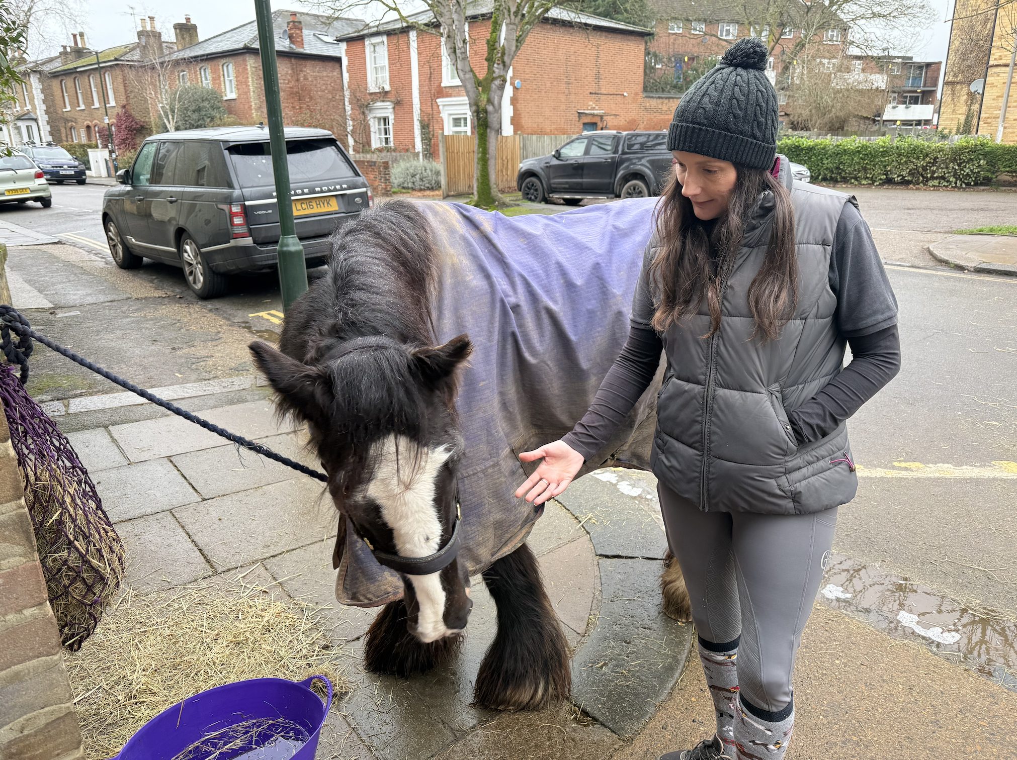 A cup of tea, a horse and a reason to keep going: Inside Teddington's ...