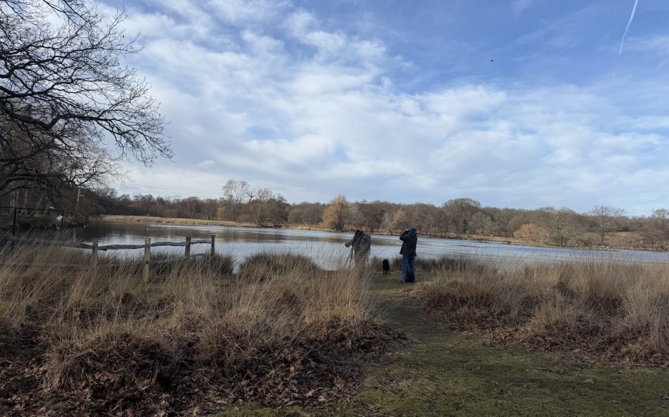 Birdwatchers in Richmond Park