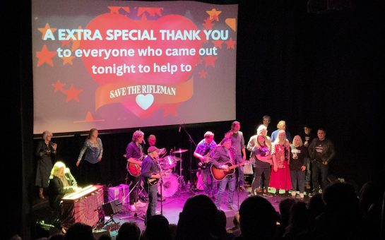 Picture of all the performers on stage at the end of the concert