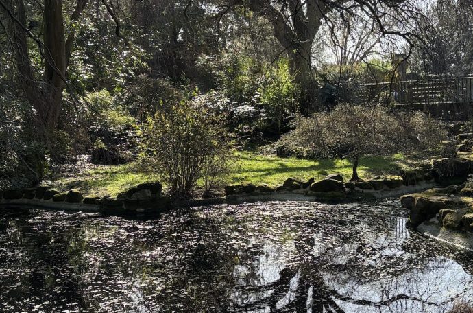Green space with pond and ecosystem