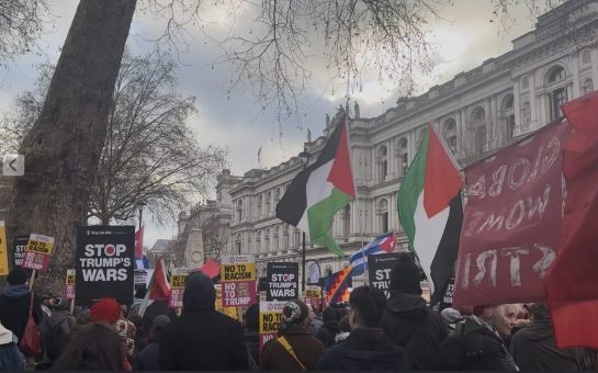 Protesters outside Downing Street